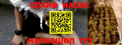 сатива Краснодар
