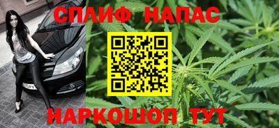 сатива Краснодар