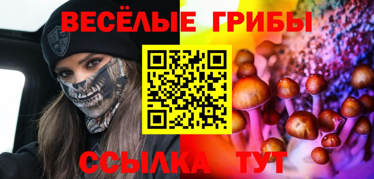 Кисловодск  Галлюциногенные грибы MAGIC MUSHROOMS  Вход с VPN 