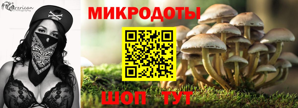 Галлюциногенные грибы мухоморы Кисловодск